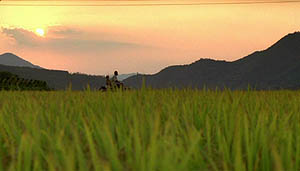 Pôr-do-sol